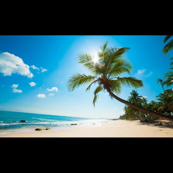 Meet your Posher, You - Picture 1 of 1